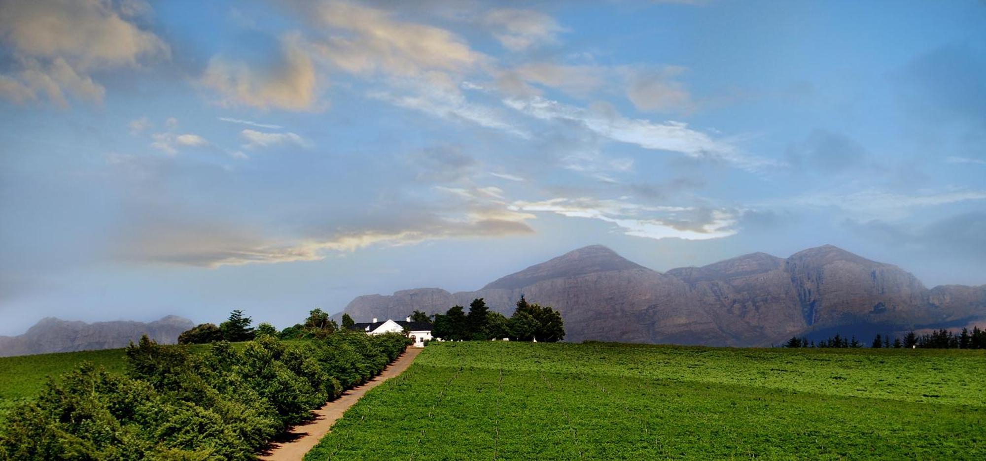 Bakenhof Winelands Lodge بارل المظهر الخارجي الصورة
