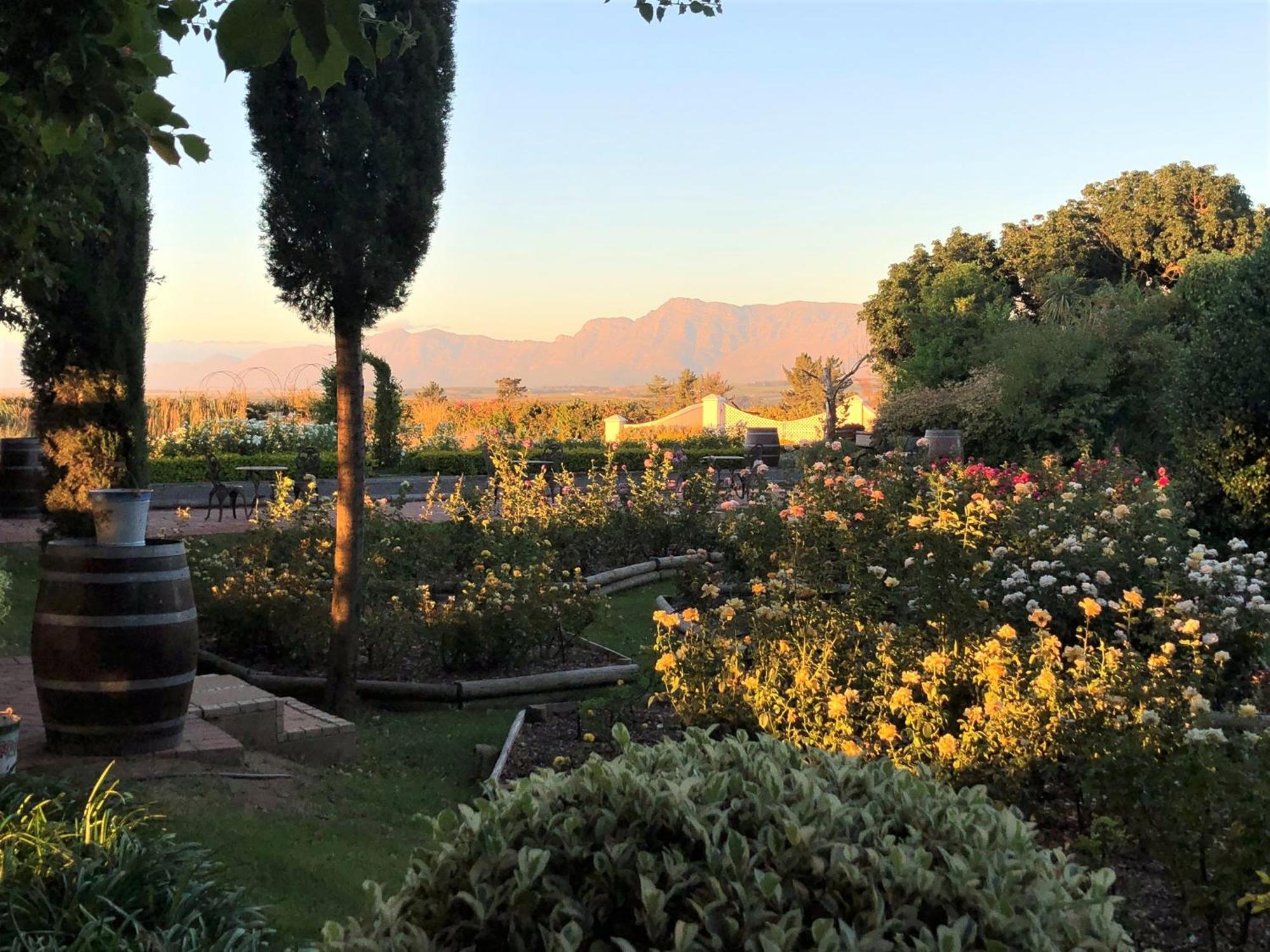 Bakenhof Winelands Lodge بارل المظهر الخارجي الصورة