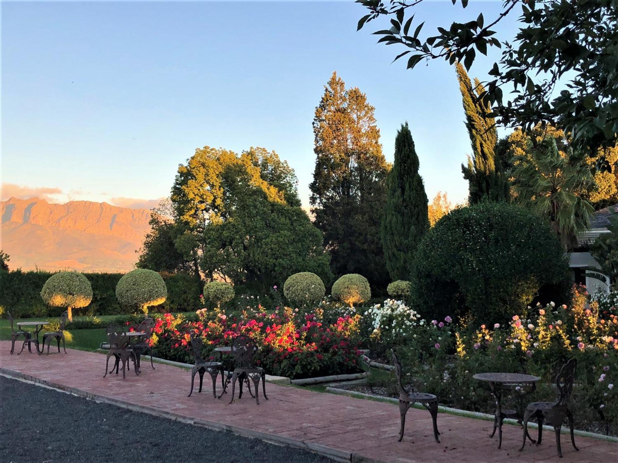 Bakenhof Winelands Lodge بارل المظهر الخارجي الصورة